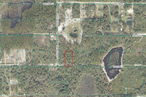 Land in Dunnellon, Florida № 2229045 - photo 5