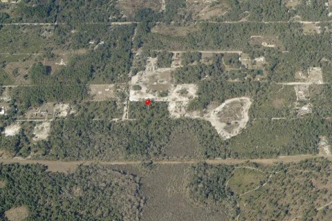 Land in Dunnellon, Florida № 2229045 - photo 9