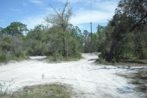 Land in Dunnellon, Florida № 2229045 - photo 12
