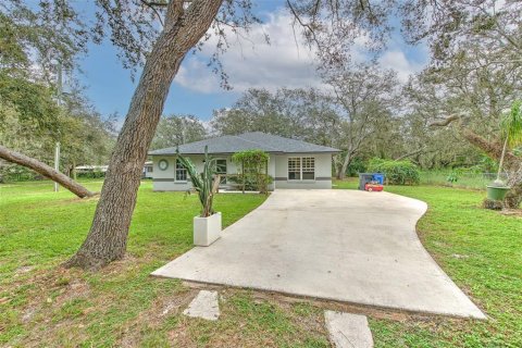 Villa ou maison à vendre à Riverview, Floride: 3 chambres, 140.84 m2 № 1919403 - photo 2
