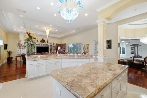 House in Lutz, Florida 8 bedrooms, 803.6 sq.m. № 2235413 - photo 19