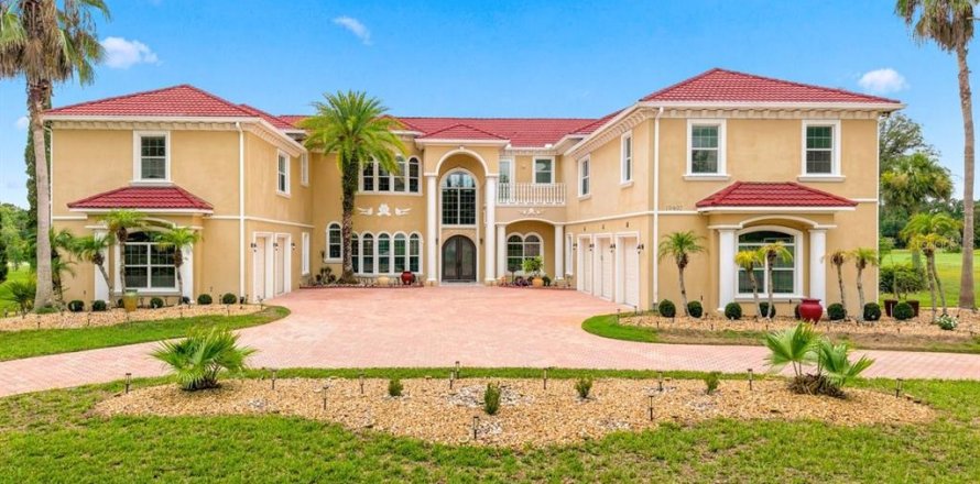 House in Lutz, Florida 8 bedrooms, 803.6 sq.m. № 2235413