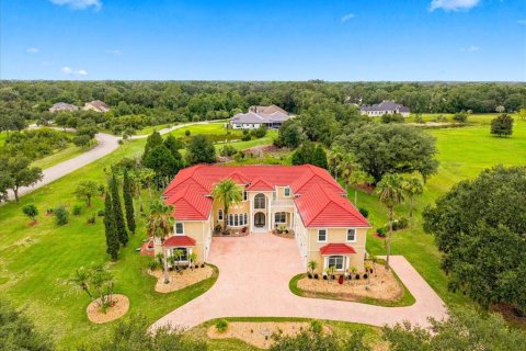 House in Lutz, Florida 8 bedrooms, 803.6 sq.m. № 2235413 - photo 2