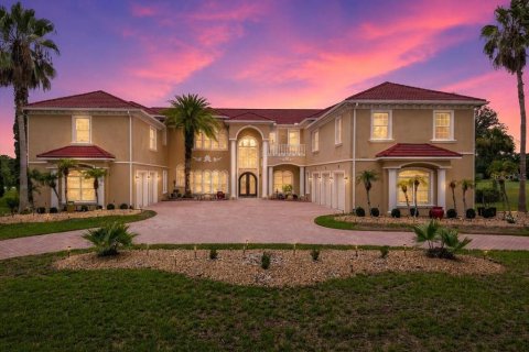 House in Lutz, Florida 8 bedrooms, 803.6 sq.m. № 2235413 - photo 3