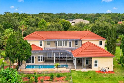 House in Lutz, Florida 8 bedrooms, 803.6 sq.m. № 2235413 - photo 6