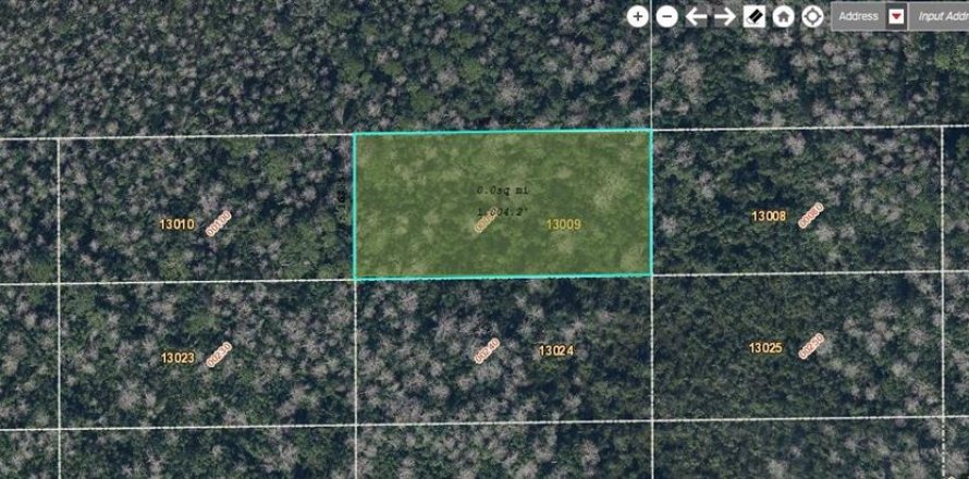Land in Orlando, Florida № 2219144