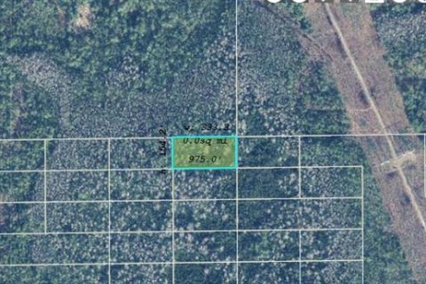 Land in Orlando, Florida № 2219144 - photo 2