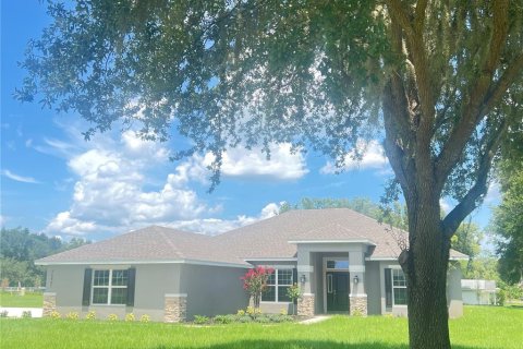 House in Dade City, Florida 4 bedrooms, 216.46 sq.m. № 2231052