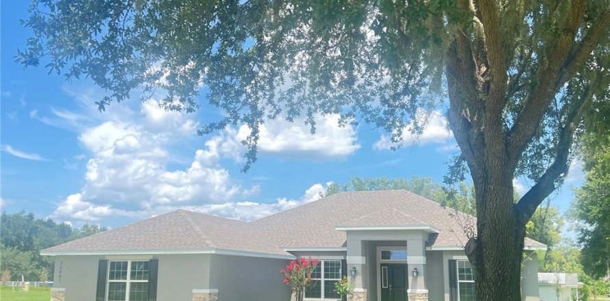 House in Dade City, Florida 4 bedrooms, 216.46 sq.m. № 2231052