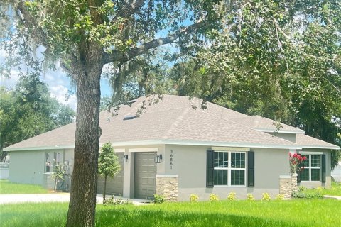 House in Dade City, Florida 4 bedrooms, 216.46 sq.m. № 2231052 - photo 3