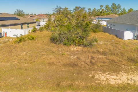 Land in Poinciana, Florida № 1535218 - photo 10