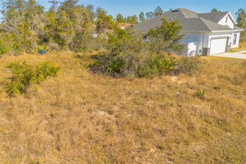 Land in Poinciana, Florida № 1535218 - photo 11
