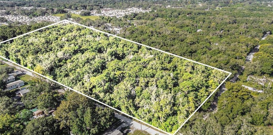 Terreno en Zephyrhills, Florida № 1283267