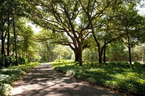 House in Newberry, Florida 4 bedrooms, 210.33 sq.m. № 2197729 - photo 5