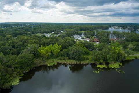 Terreno en venta en Land O' Lakes, Florida № 230245 - foto 3