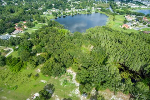 Terreno en venta en Land O' Lakes, Florida № 230245 - foto 9