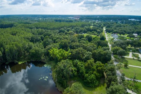 Terreno en venta en Land O' Lakes, Florida № 230245 - foto 7