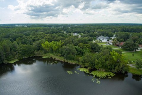 Terreno en venta en Land O' Lakes, Florida № 230245 - foto 11
