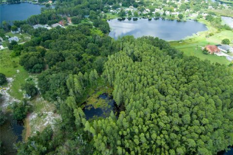 Terreno en venta en Land O' Lakes, Florida № 230245 - foto 10