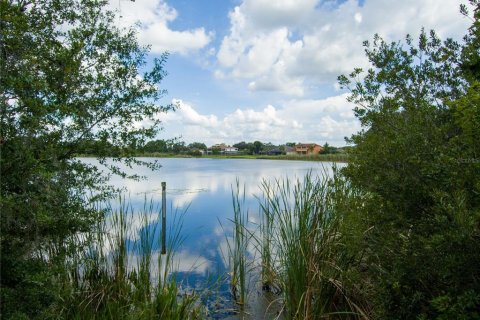 Terreno en venta en Land O' Lakes, Florida № 230245 - foto 14