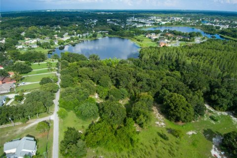 Terreno en venta en Land O' Lakes, Florida № 230245 - foto 8