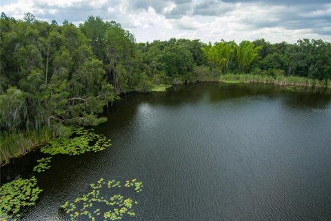 Terreno en venta en Land O' Lakes, Florida № 230245 - foto 12