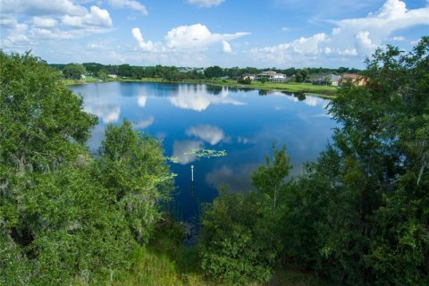 Terreno en venta en Land O' Lakes, Florida № 230245 - foto 1