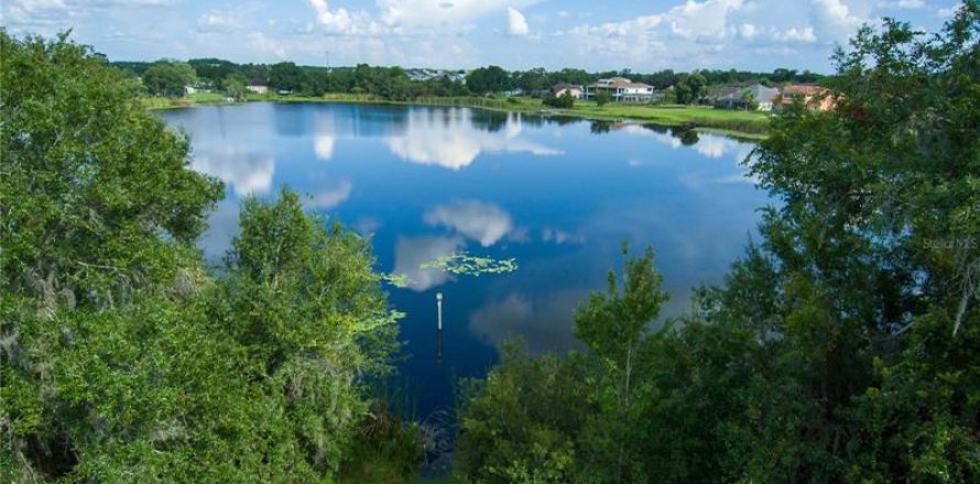 Terreno en Land O' Lakes, Florida № 230245