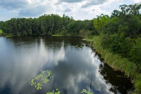 Terreno en venta en Land O' Lakes, Florida № 230245 - foto 13