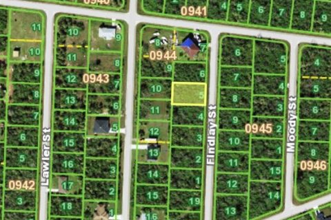Land in Port Charlotte, Florida № 2162829 - photo 3