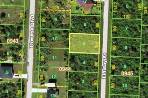 Land in Port Charlotte, Florida № 2162829 - photo 2