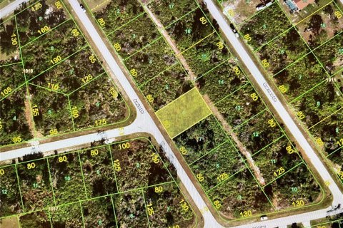 Land in Port Charlotte, Florida № 2163004