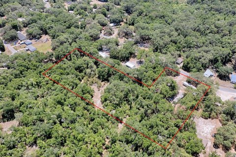 Propiedad comercial en venta en Wildwood, Florida, 146.04 m2 № 1680948 - foto 10