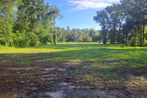 Land in Ocala, Florida № 2143363 - photo 2