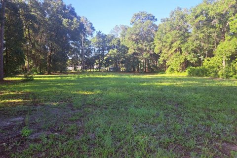 Land in Ocala, Florida № 2143363 - photo 3