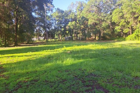 Land in Ocala, Florida № 2143363