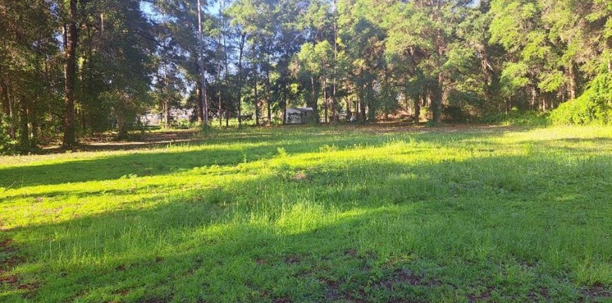 Land in Ocala, Florida № 2143363