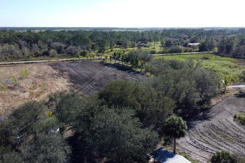 Купить земельный участок в Клуистон, Флорида № 2055343 - фото 14