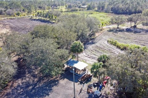 Купить земельный участок в Клуистон, Флорида № 2055343 - фото 10