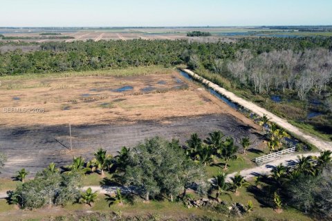 Купить земельный участок в Клуистон, Флорида № 2055343 - фото 4