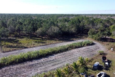 Купить земельный участок в Клуистон, Флорида № 2055343 - фото 17
