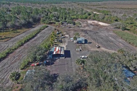 Купить земельный участок в Клуистон, Флорида № 2055343 - фото 5