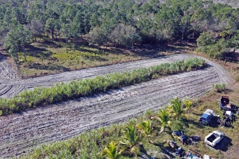 Купить земельный участок в Клуистон, Флорида № 2055343 - фото 23