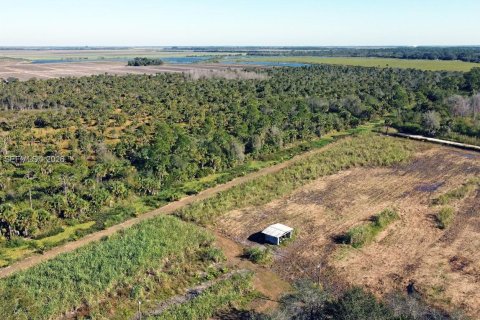 Купить земельный участок в Клуистон, Флорида № 2055343 - фото 24