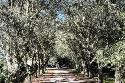 Купить земельный участок в Клуистон, Флорида № 2055343 - фото 9