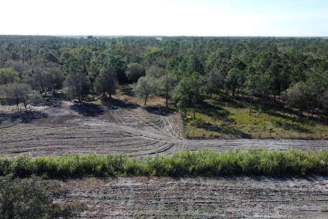 Купить земельный участок в Клуистон, Флорида № 2055343 - фото 16