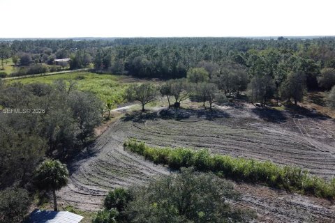 Купить земельный участок в Клуистон, Флорида № 2055343 - фото 15