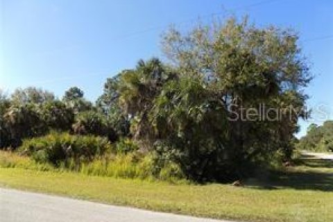 Land in Port Charlotte, Florida № 2164234 - photo 2