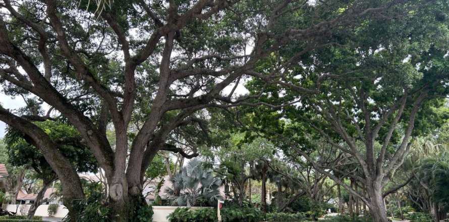 Condo à Juno Beach, Floride, 2 chambres № 1155835