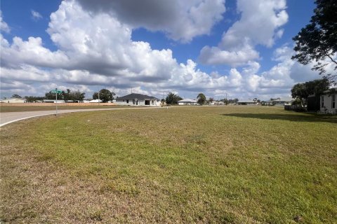 Land in Punta Gorda, Florida № 1533056 - photo 5